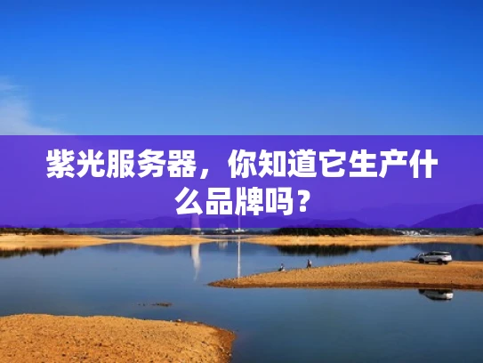 紫光服务器，你知道它生产什么品牌吗？