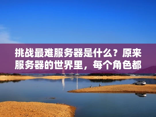 挑战最难服务器是什么？原来服务器的世界里，每个角色都有它的高光时刻