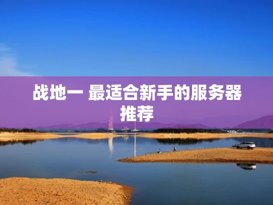 战地一 最适合新手的服务器推荐