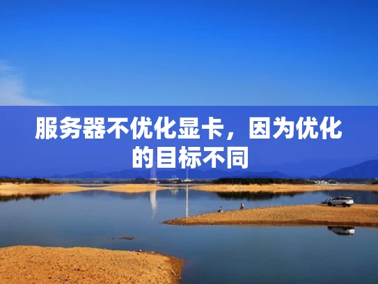 服务器不优化显卡，因为优化的目标不同