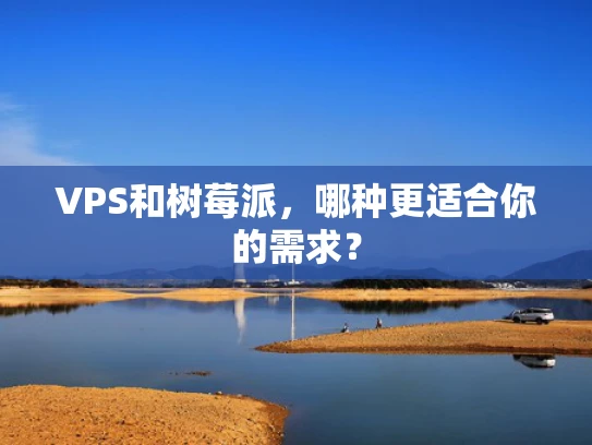 VPS和树莓派，哪种更适合你的需求？