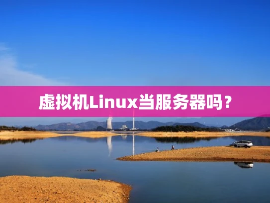 虚拟机Linux当服务器吗？