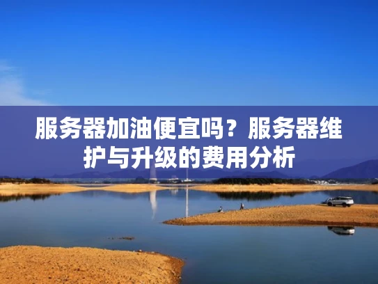服务器加油便宜吗？服务器维护与升级的费用分析