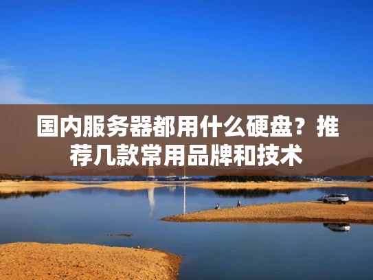 国内服务器都用什么硬盘？推荐几款常用品牌和技术