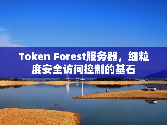 Token Forest服务器，细粒度安全访问控制的基石