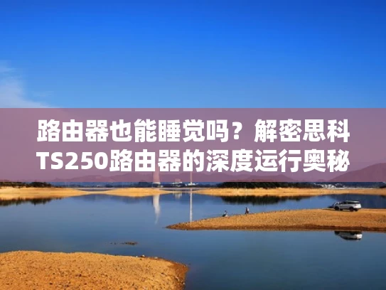 路由器也能睡觉吗？解密思科TS250路由器的深度运行奥秘