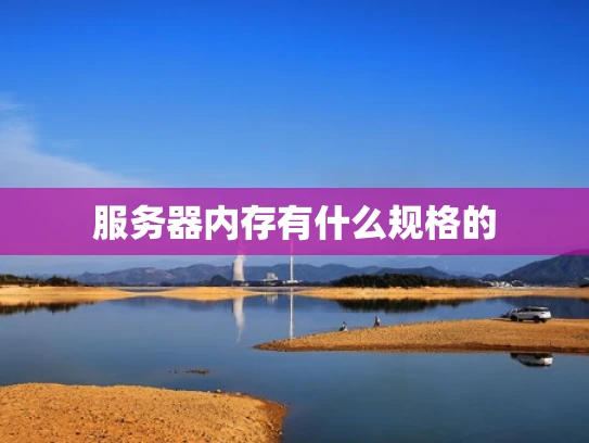 服务器内存有什么规格的