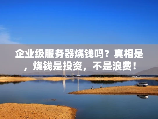 企业级服务器烧钱吗？真相是，烧钱是投资，不是浪费！