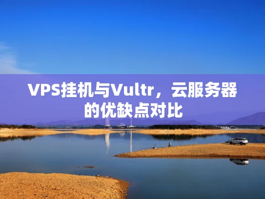 VPS挂机与Vultr，云服务器的优缺点对比