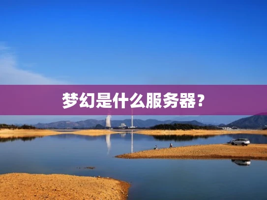 梦幻是什么服务器？