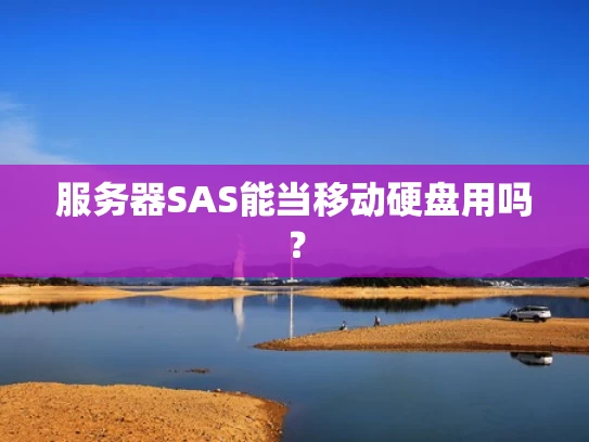 服务器SAS能当移动硬盘用吗？
