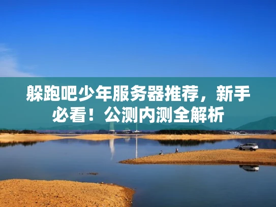 躲跑吧少年服务器推荐，新手必看！公测内测全解析