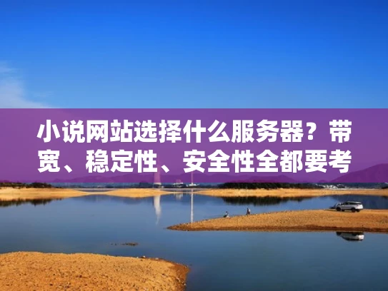小说网站选择什么服务器？带宽、稳定性、安全性全都要考虑！