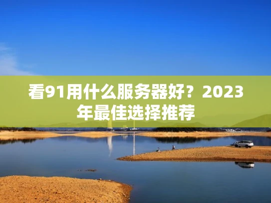 看91用什么服务器好？2023年最佳选择推荐