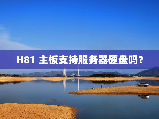 H81 主板支持服务器硬盘吗？