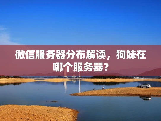 微信服务器分布解读，狗妹在哪个服务器？