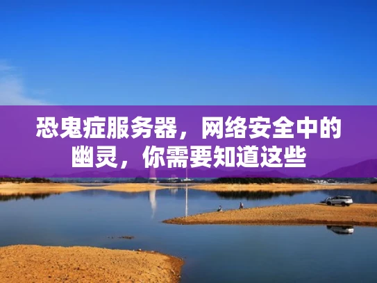恐鬼症服务器，网络安全中的幽灵，你需要知道这些