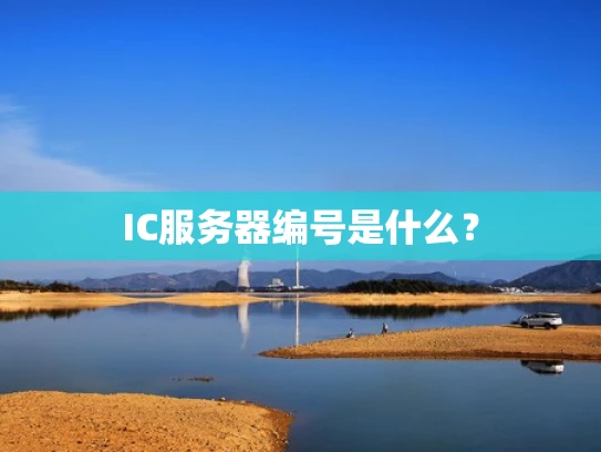 IC服务器编号是什么？