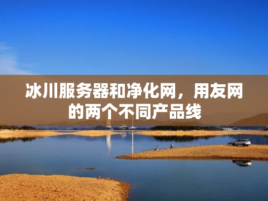冰川服务器和净化网，用友网的两个不同产品线