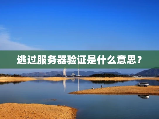 逃过服务器验证是什么意思？