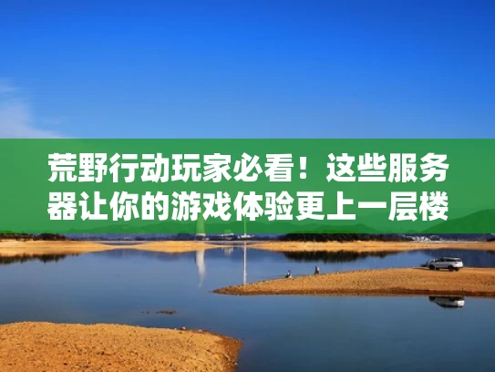 荒野行动玩家必看！这些服务器让你的游戏体验更上一层楼