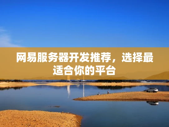 网易服务器开发推荐，选择最适合你的平台