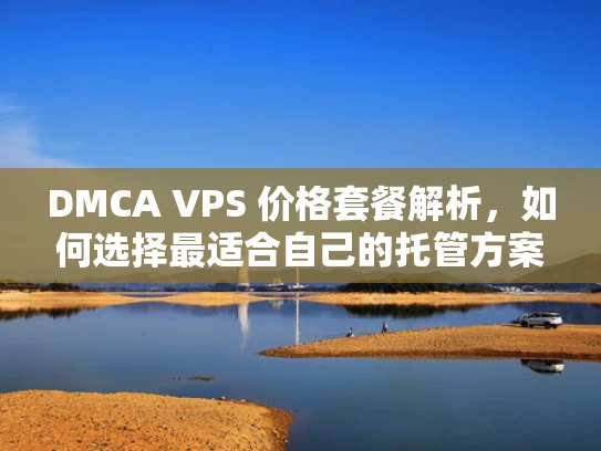 DMCA VPS 价格套餐解析，如何选择最适合自己的托管方案？