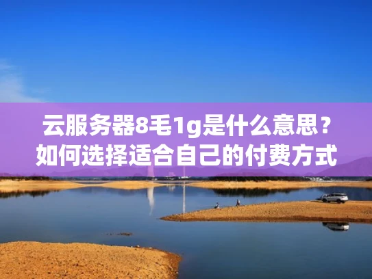 云服务器8毛1g是什么意思？如何选择适合自己的付费方式？