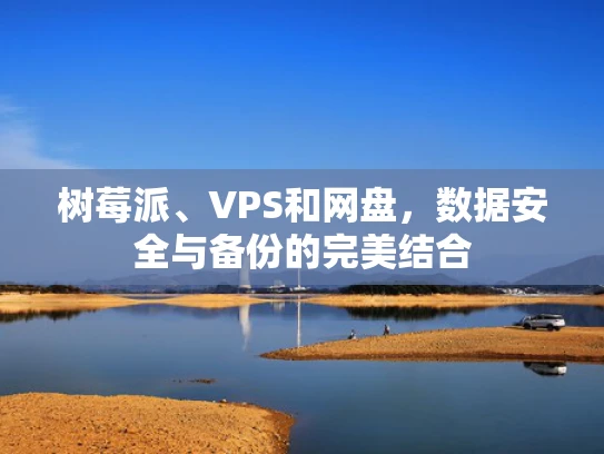 树莓派、VPS和网盘，数据安全与备份的完美结合