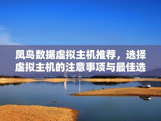 凤鸟数据虚拟主机推荐，选择虚拟主机的注意事项与最佳选择