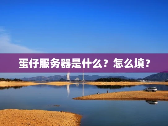 蛋仔服务器是什么？怎么填？