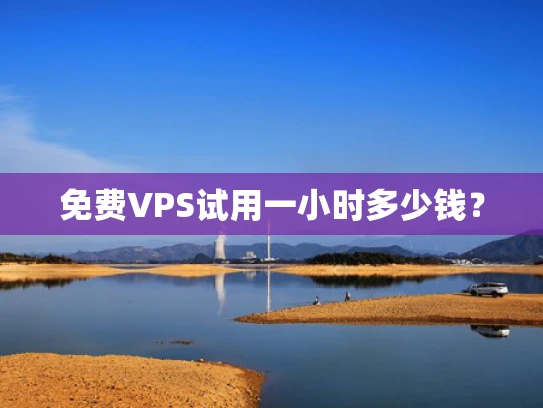 免费VPS试用一小时多少钱？