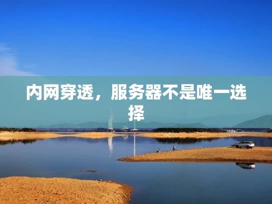 内网穿透，服务器不是唯一选择