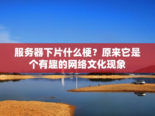 服务器下片什么梗？原来它是个有趣的网络文化现象