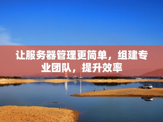 让服务器管理更简单，组建专业团队，提升效率