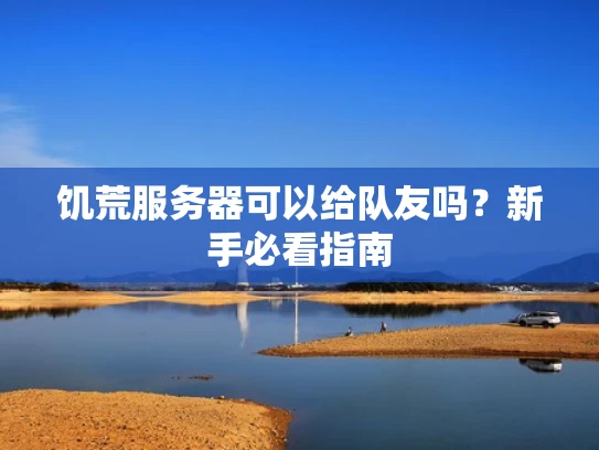 饥荒服务器可以给队友吗？新手必看指南