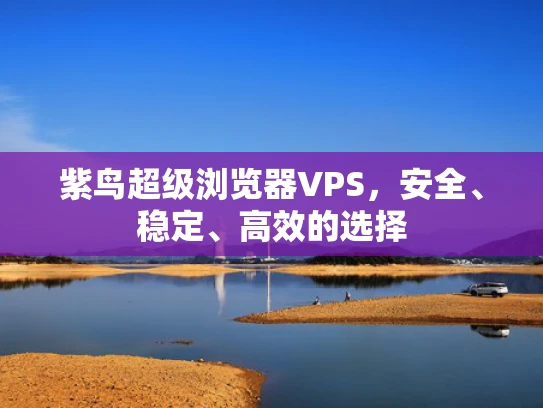 紫鸟超级浏览器VPS，安全、稳定、高效的选择