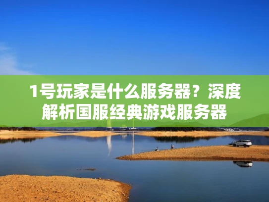 1号玩家是什么服务器？深度解析国服经典游戏服务器