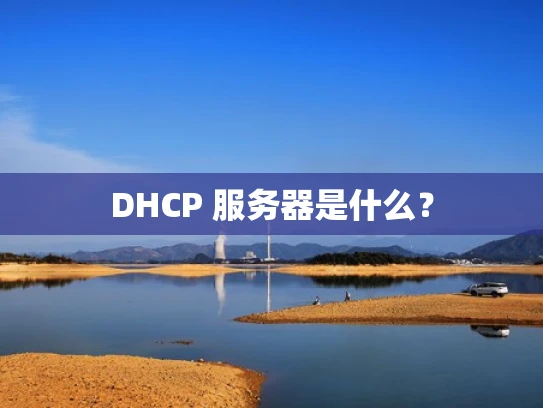 DHCP 服务器是什么？