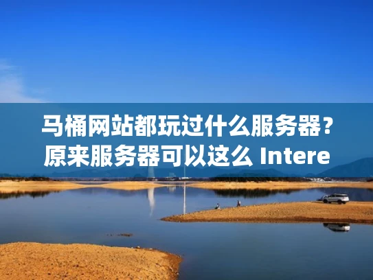 马桶网站都玩过什么服务器？原来服务器可以这么 Interesting 
