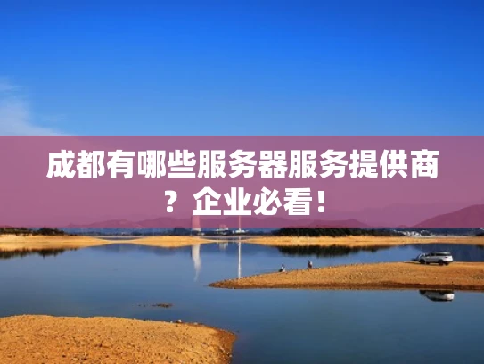 成都有哪些服务器服务提供商？企业必看！
