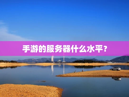 手游的服务器什么水平？