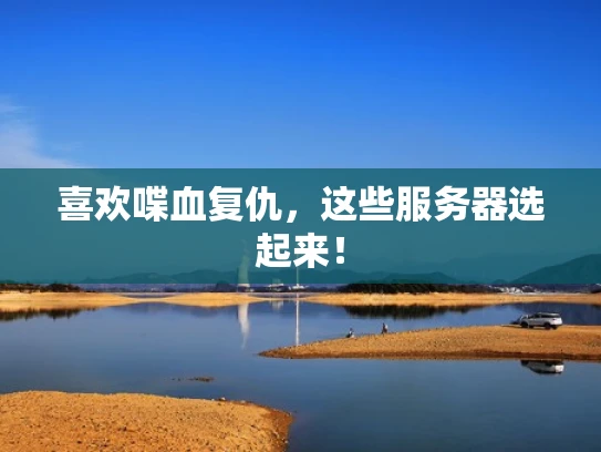 喜欢喋血复仇，这些服务器选起来！