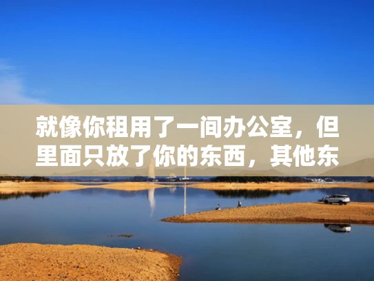 就像你租用了一间办公室，但里面只放了你的东西，其他东西都不存在一样。VPS就是这种服务，你可以把你的网站、应用程序放在上面运行，而其他用户无法访问