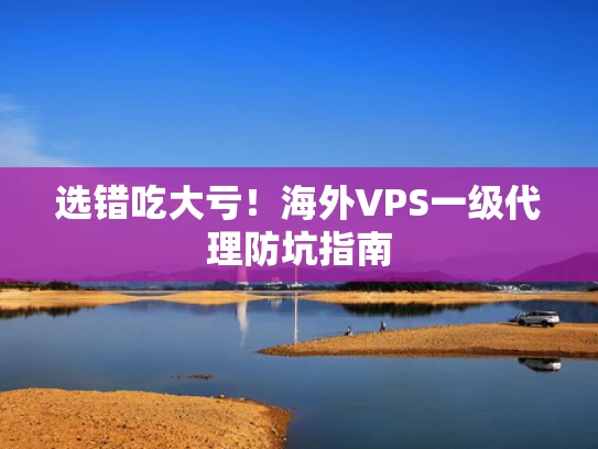 选错吃大亏！海外VPS一级代理防坑指南