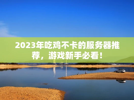 2023年吃鸡不卡的服务器推荐，游戏新手必看！