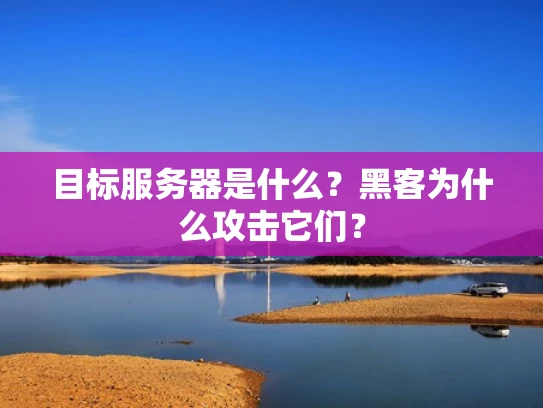目标服务器是什么？黑客为什么攻击它们？
