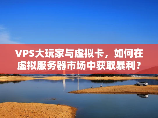 VPS大玩家与虚拟卡，如何在虚拟服务器市场中获取暴利？