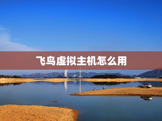 飞鸟虚拟主机怎么用
