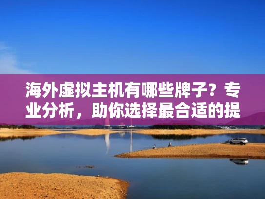 海外虚拟主机有哪些牌子？专业分析，助你选择最合适的提供商